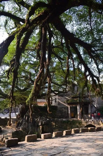 博皓游記 | 夏風(fēng)微醺的綺夢，領(lǐng)略賀州黃姚古鎮(zhèn)、姑婆山閑憩之美-12