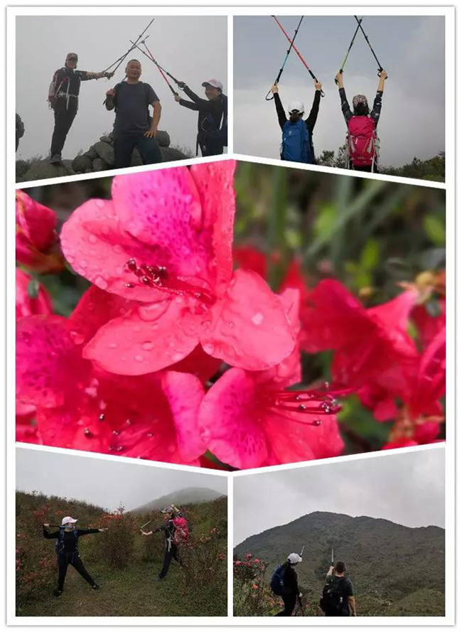3月29日，云浮新興縣登天麓山&賞杜鵑花