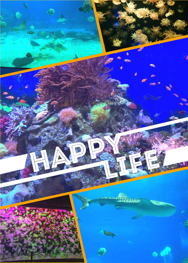 廣東博皓親子游：珠海長(zhǎng)隆海洋王國(guó)，探索海洋生物的奧秘，奇妙的動(dòng)物世界
