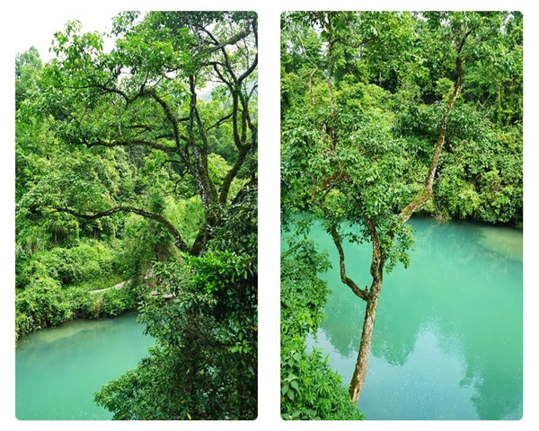多彩貴州，魅力天下，2021年廣東博皓快樂貴州行-29
