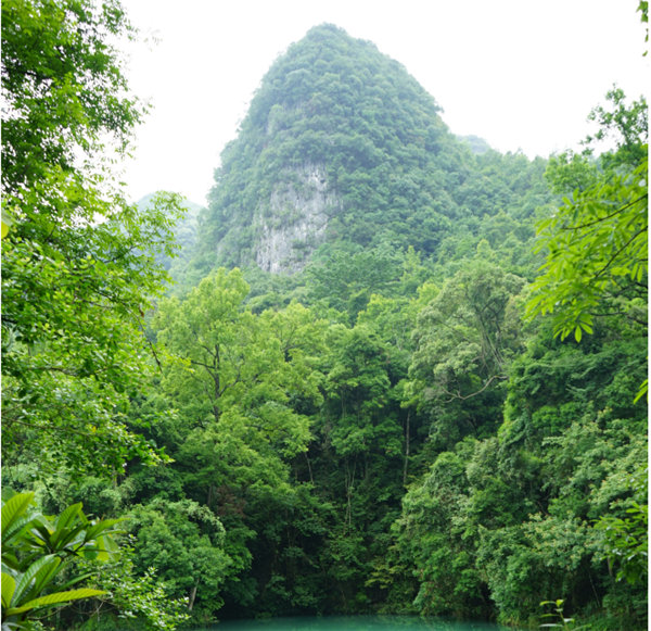 賞華夏大地，游多彩貴州-－2021年廣東博皓快樂行-2
