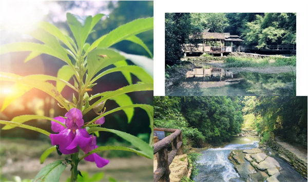 “湘”約鳳凰，相守未來——2022博皓快樂湖南行    -34