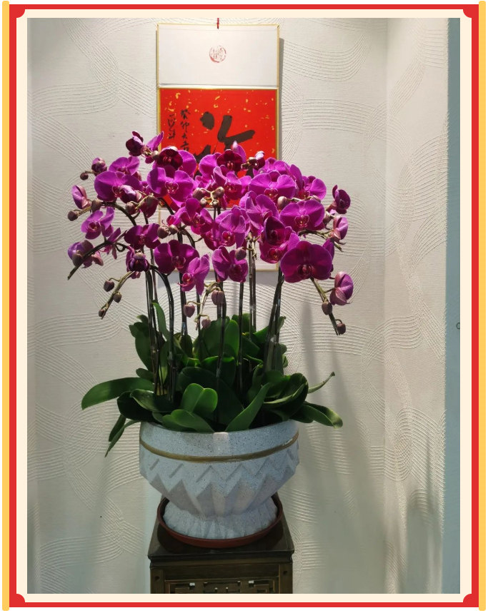 廣東博皓開工大吉丨金虎騰躍，兔來運(yùn)轉(zhuǎn)           -23