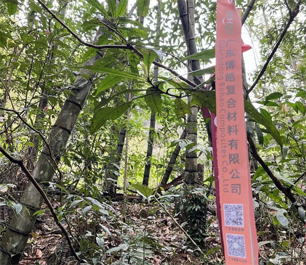凝心聚力再出發(fā)，風(fēng)雨同舟赴星溪！--廣東博皓2024龍年首登星溪之旅     -2