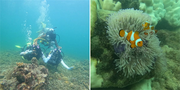 暢游碧海藍天，共筑團隊夢想—博皓沙巴風情之旅        -4
