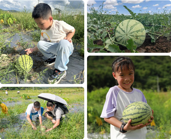 趣游盛夏，一路童行—2024年廣東博皓親子游   -12