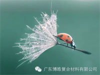 【博皓感悟】成功，要“借力”，不要“盡力”
