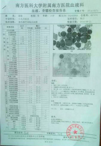 高俊的血液、骨髓檢查報告單